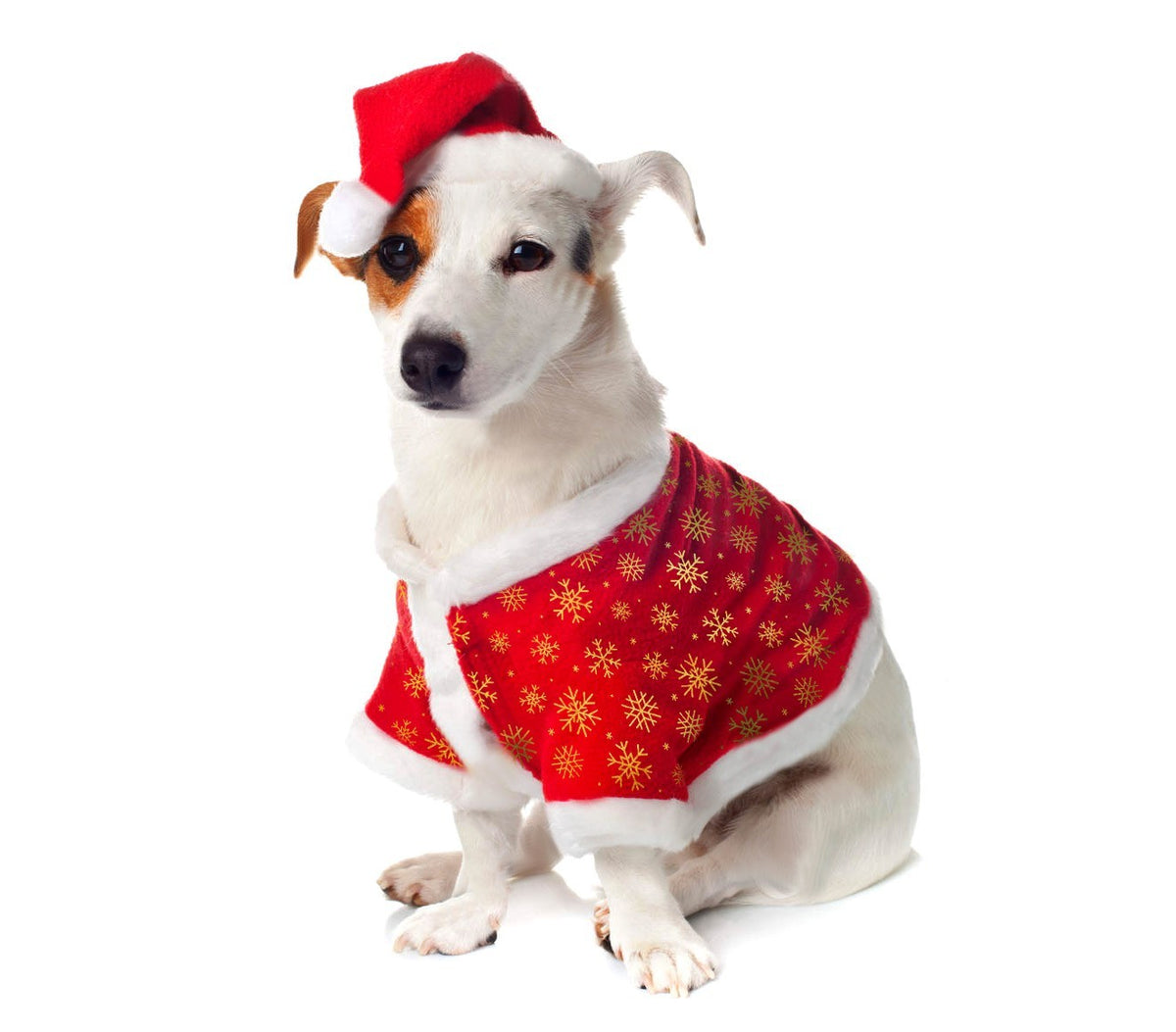 901097 Vêtement de Noël imprimé avec chapeau pour animaux de petite taille