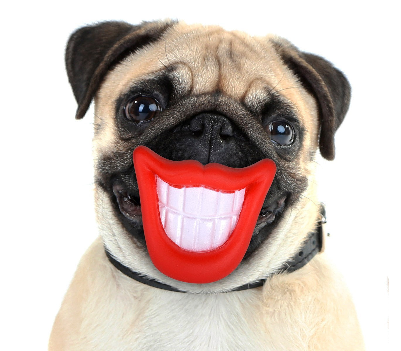 15968 Jouet à mordre SMILE pour chiens avec son en caoutchouc naturel