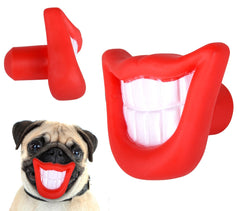 15968 Jouet à mordre SMILE pour chiens avec son en caoutchouc naturel