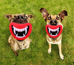 15968 Jouet à mordre SMILE pour chiens avec son en caoutchouc naturel
