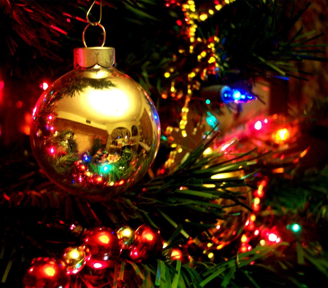 013546 Lumières de Noël MULTICOLORES 240 ampoules 8 jeux de lumières 11,56 m