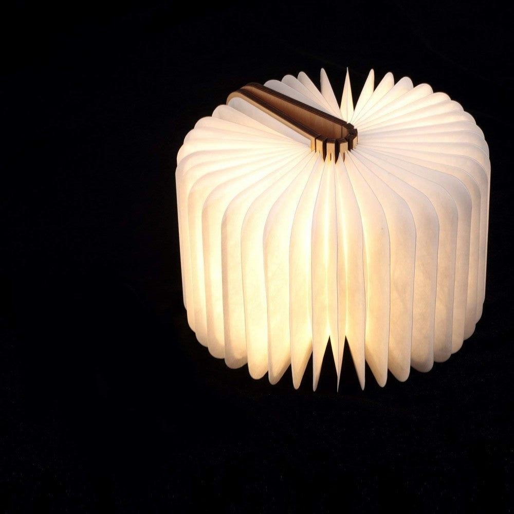 Lampe accordéon LED pivotante avec connexion USB et pochette  22x16x2.5cm