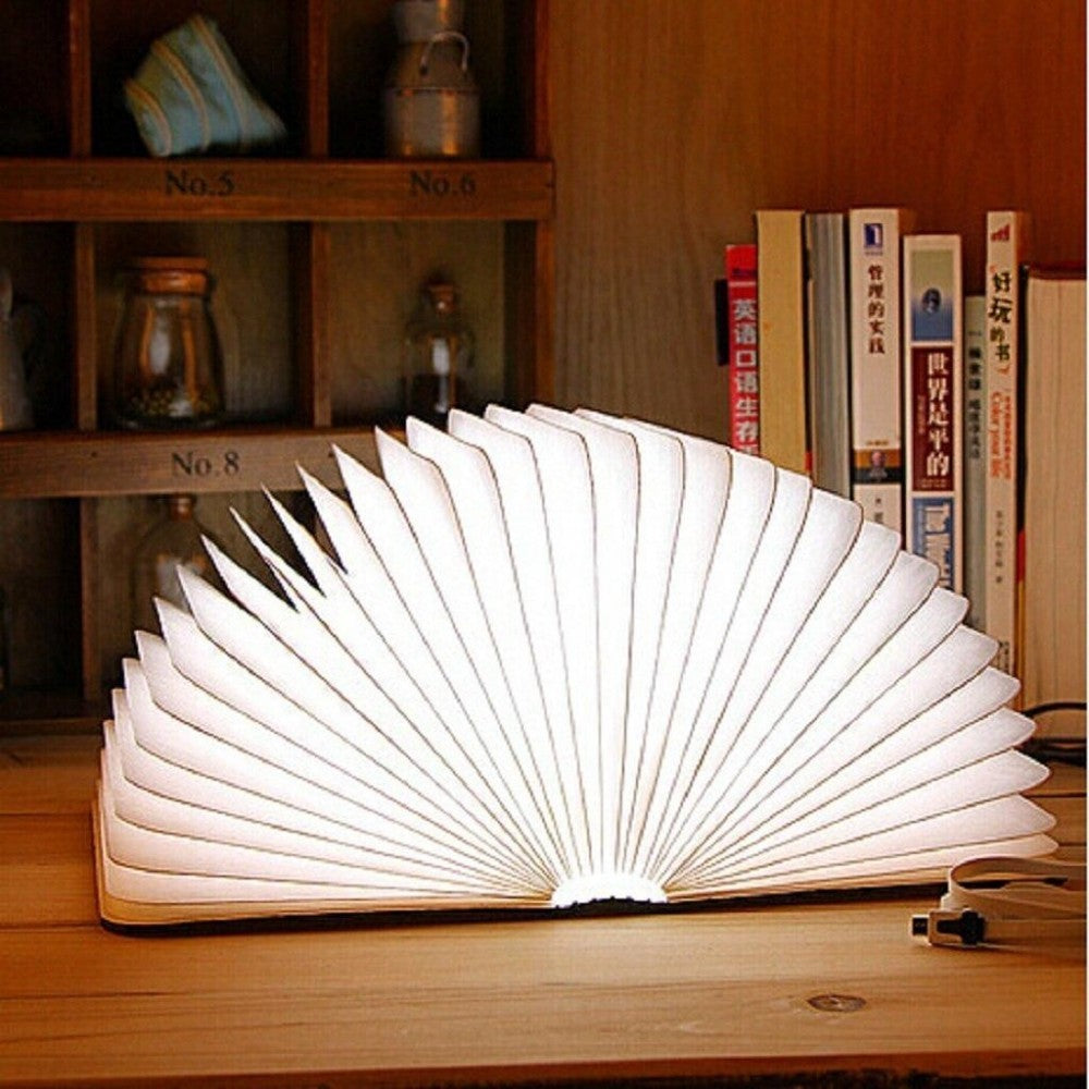 Lampe accordéon LED pivotante avec connexion USB et pochette  22x16x2.5cm