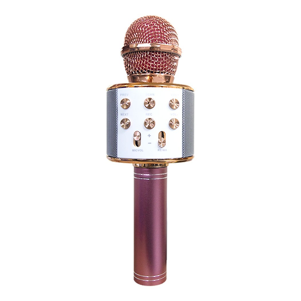Micro sans fil hifi Speaker 812855 enregistre et écoute vos chansons