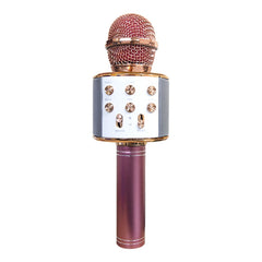 Micro sans fil hifi Speaker 812855 enregistre et écoute vos chansons