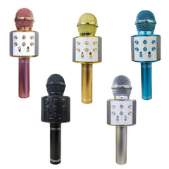 Micro sans fil hifi Speaker 812855 enregistre et écoute vos chansons