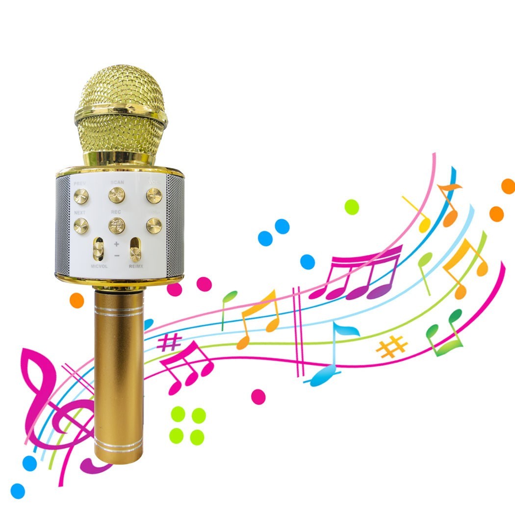 Micro sans fil hifi Speaker 812855 enregistre et écoute vos chansons