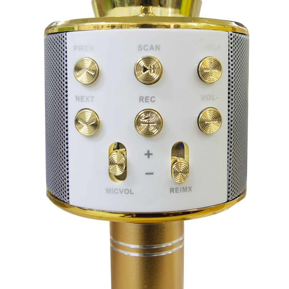 Micro sans fil hifi Speaker 812855 enregistre et écoute vos chansons