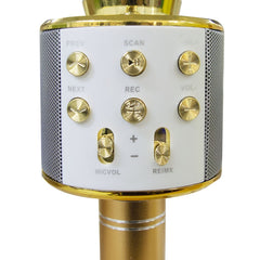 Micro sans fil hifi Speaker 812855 enregistre et écoute vos chansons
