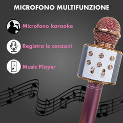 Micro sans fil hifi Speaker 812855 enregistre et écoute vos chansons