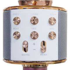 Micro sans fil hifi Speaker 812855 enregistre et écoute vos chansons