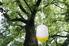 Mini Piège à insectes 952567 de guêpes d’abeilles pour extérieur 15 cm