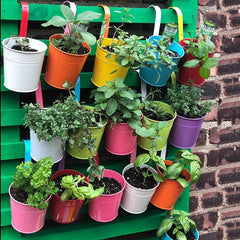 Set 10 pots porte-fleurs en fer 10xH10cm avec trou de drainage, crochet amovible