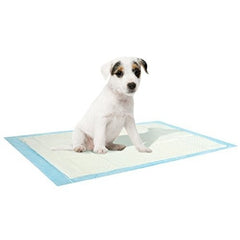 Pack 10 alaises - PET SOFT - capture d'odeurs des besoins des animaux 90 x 60 cm