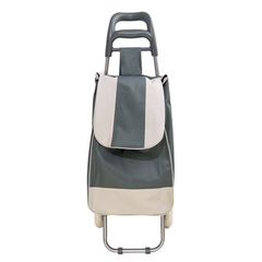 Chariot de courses avec sac couleur GRIS polyester art. 741781 avec roues