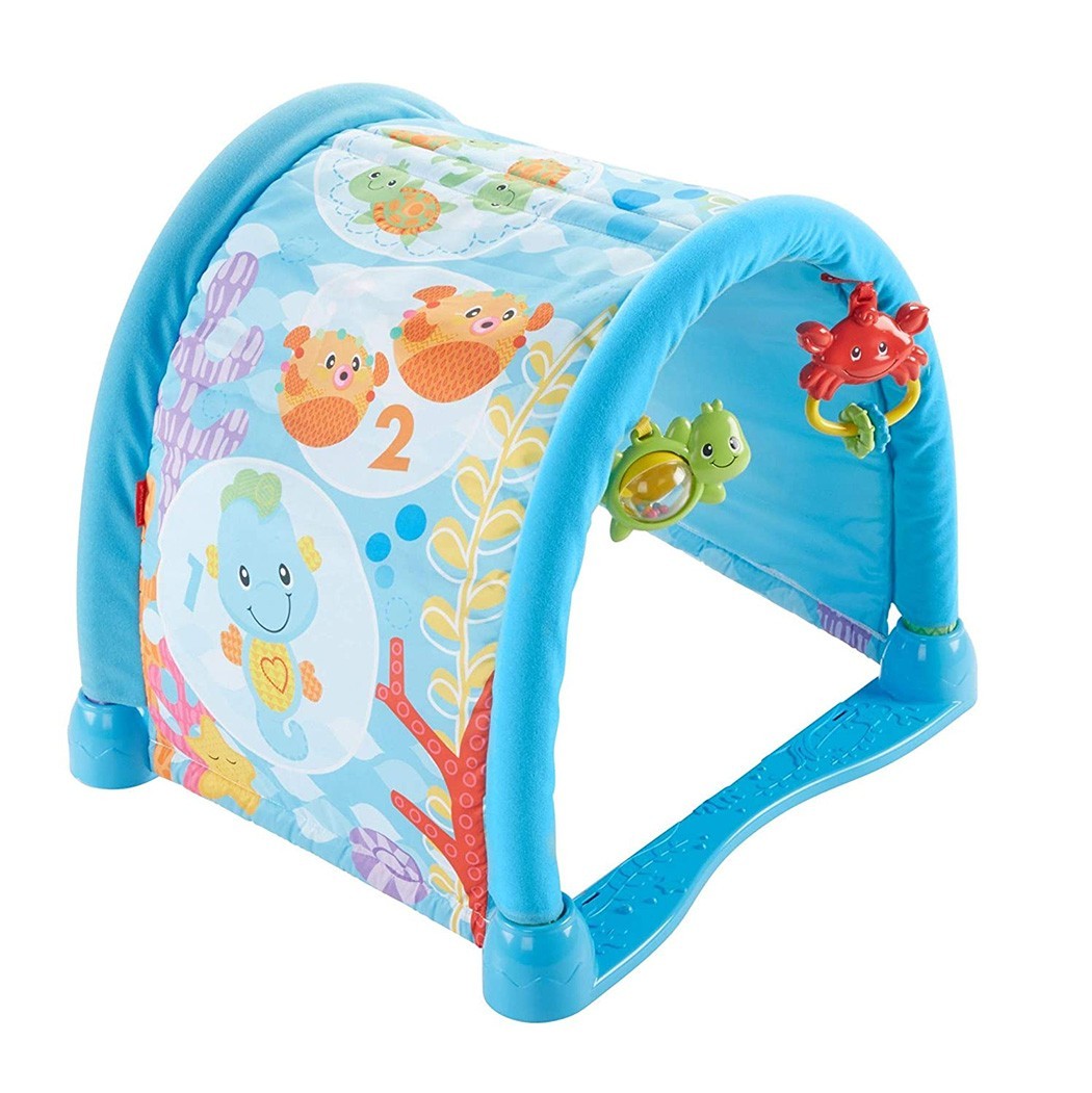 Fisher Price 2 in 1 tapis 343007 avec jeux et musique et tunnel MUSICAL GYM