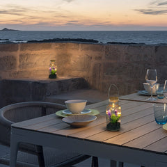 Boîte en verre avec plante décorative 452415 et Mini-lumière Led avec poignée
