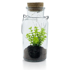 Boîte en verre avec plante décorative 452415 et Mini-lumière Led avec poignée