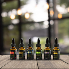 Lot de 6 essences d'ambiance assorties 593605 pour aromatiseur 10 ml