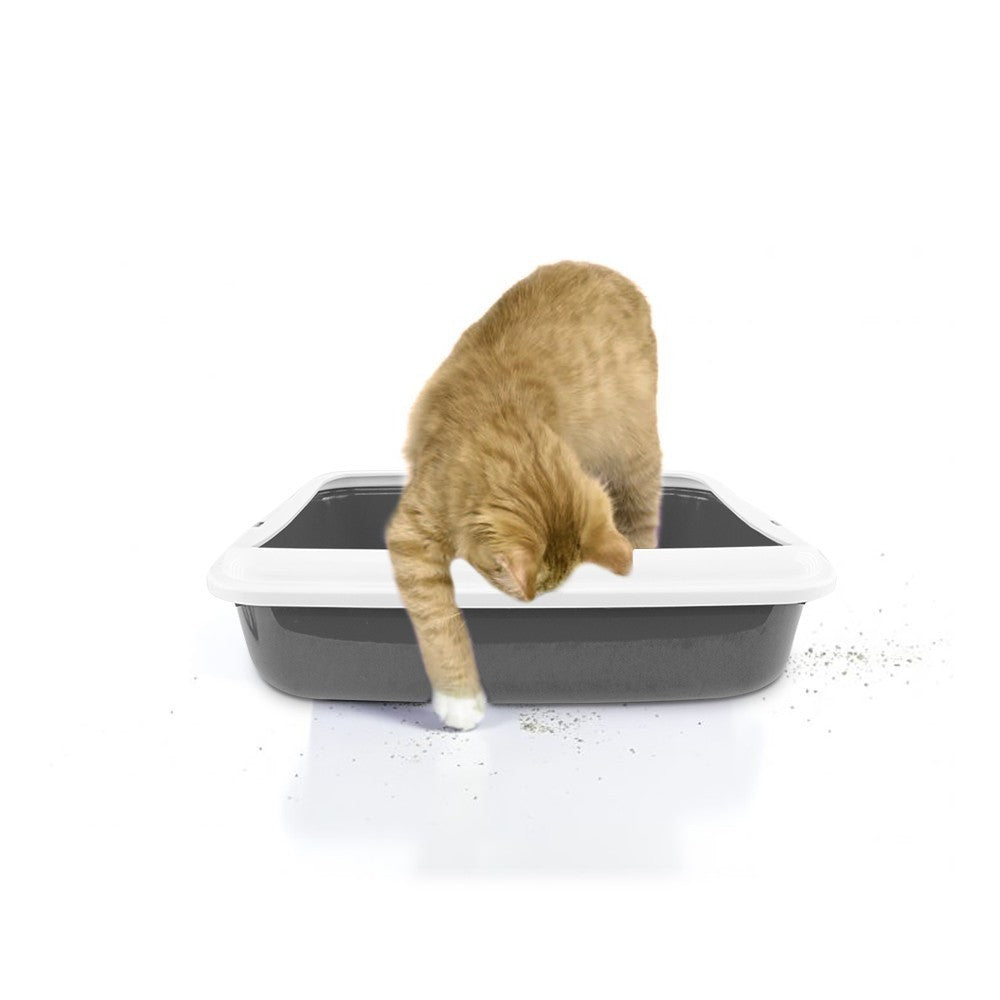 10547 BIG Bac à litière pour chat 49x39x12Hcm bac à litière et bord relevé