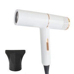 Sèche-cheveux professionnel à faible bruit de 2000 W sec en 3 à 5 minutes