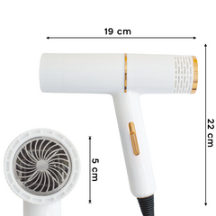 Sèche-cheveux professionnel à faible bruit de 2000 W sec en 3 à 5 minutes