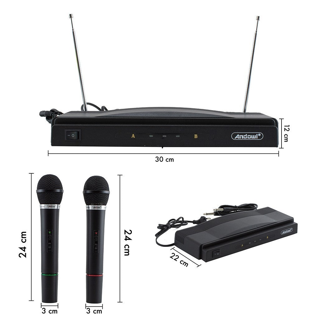 816155 Microphones sans fil pour récepteur karaoké 2 canaux