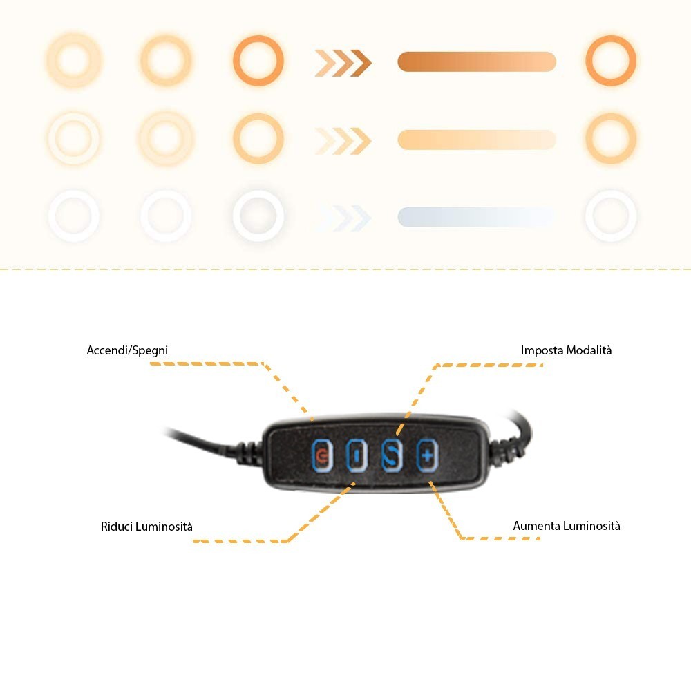 187158 Anneau lumineux LED 35 cm avec trépied et potentiomètre