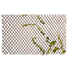 Clôture en bois extensible de 36 a 230 cm treillis décoratif pour plantes