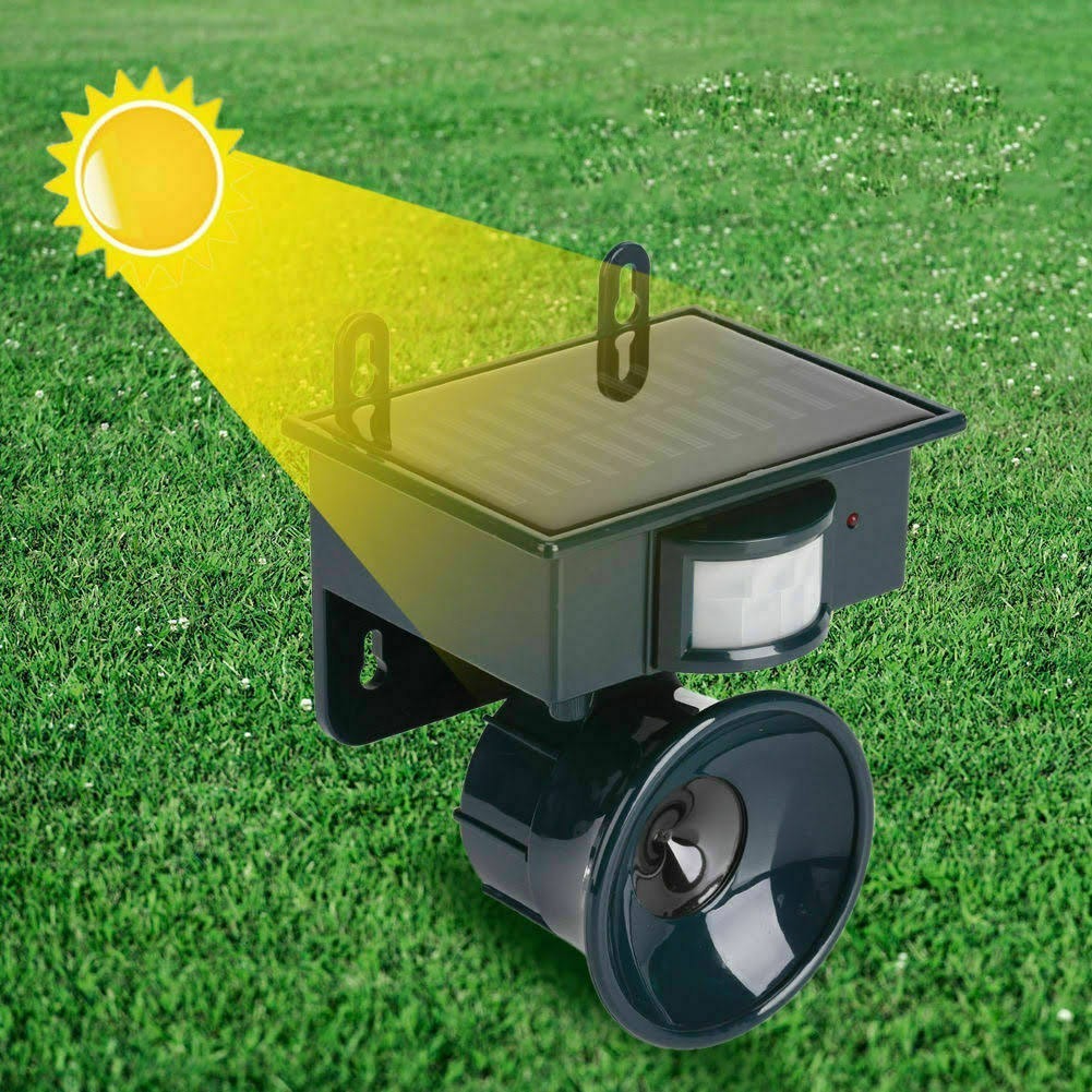 Le répulsif à oiseaux sonique et visuel à énergie solaire tue les animaux