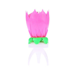 54544 Bougie musicale 4 pz en forme fleur avec effets sonores et rotatif ROSE