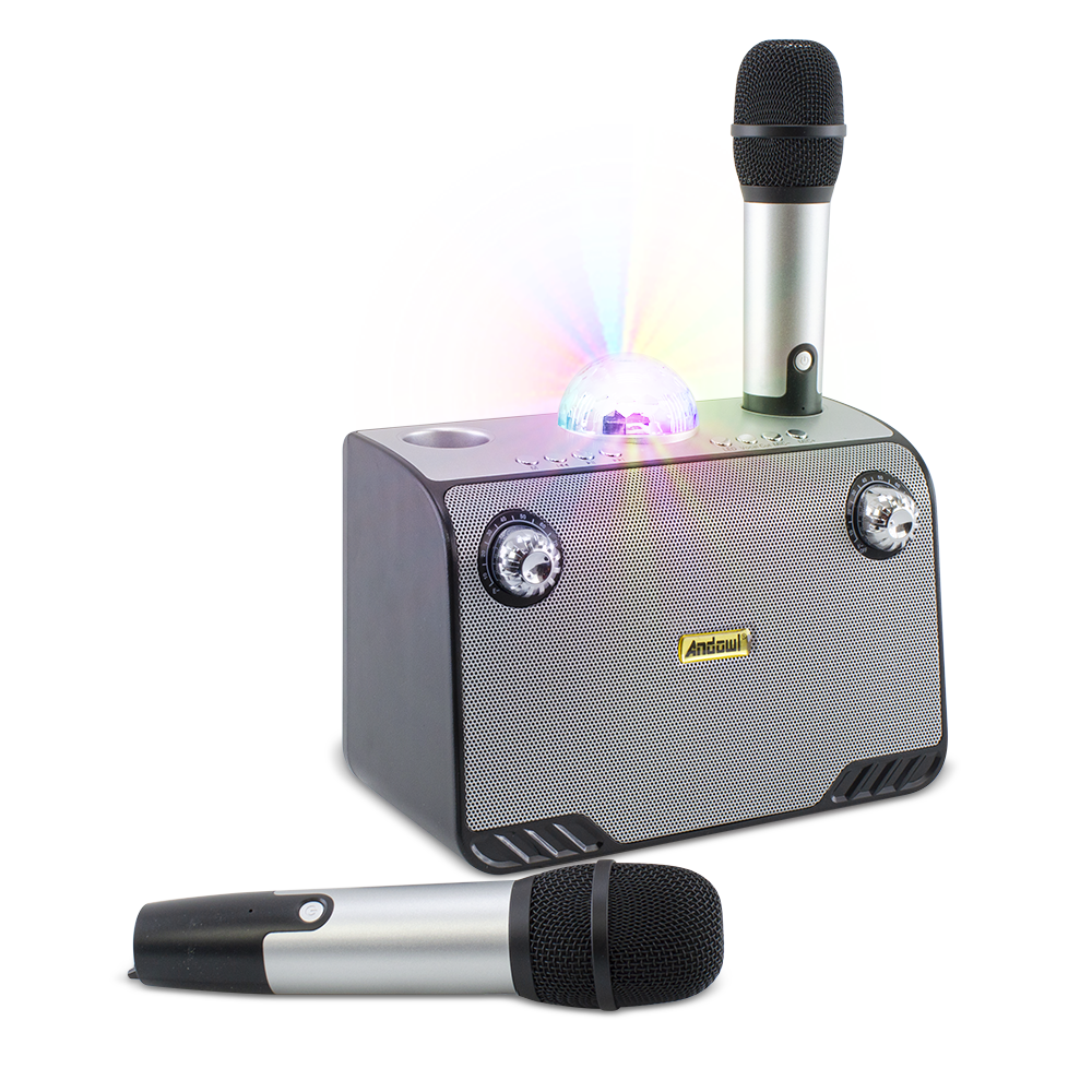 Haut-parleur Bluetooth sans fil karaoké 714386 portable avec 2 microphones