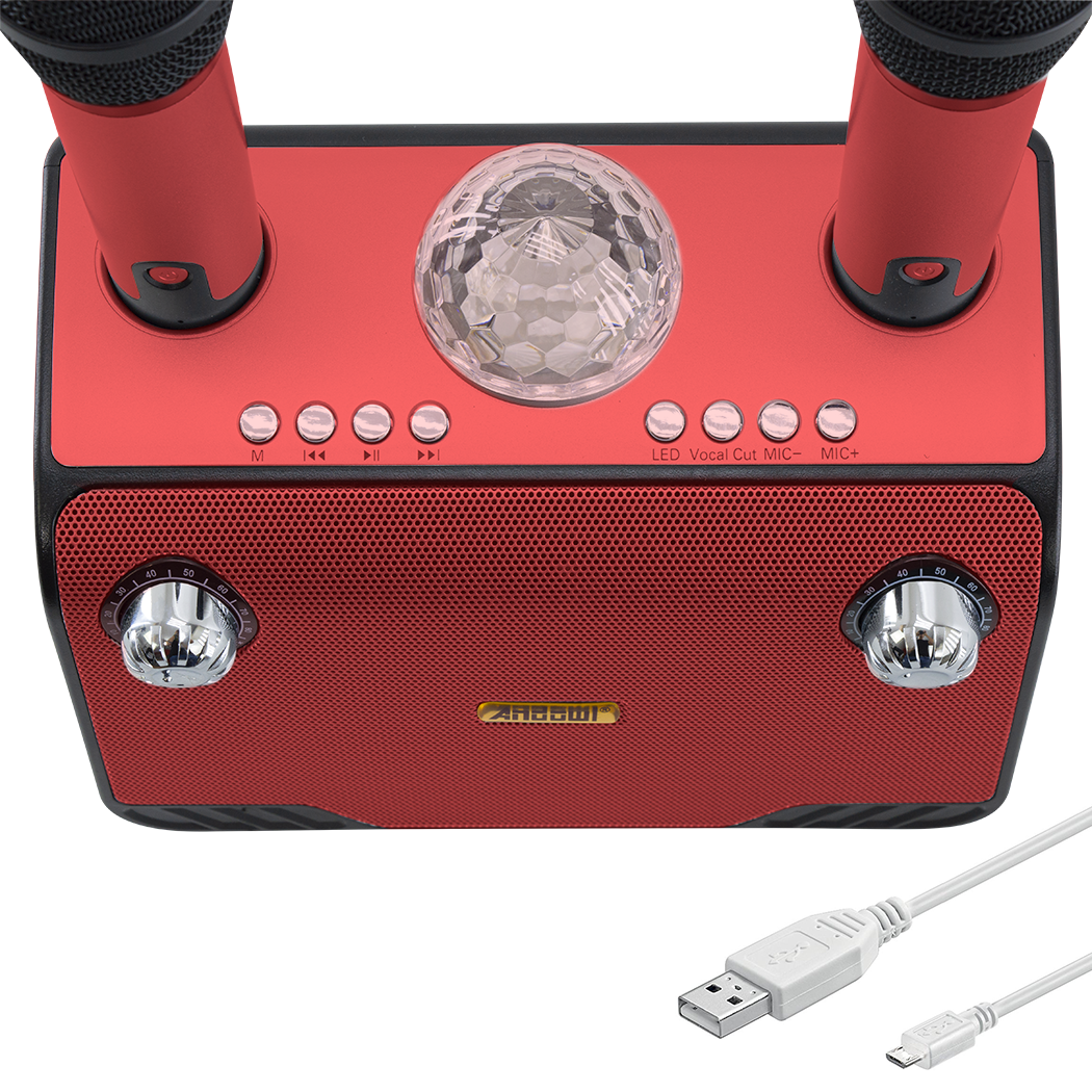 Haut-parleur Bluetooth sans fil karaoké 714386 portable avec 2 microphones