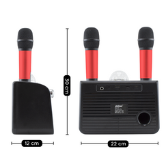Haut-parleur Bluetooth sans fil karaoké 714386 portable avec 2 microphones