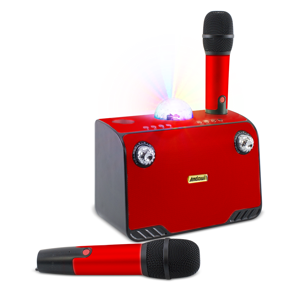 Haut-parleur Bluetooth sans fil karaoké 714386 portable avec 2 microphones