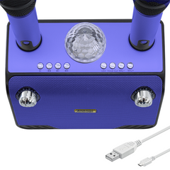 Haut-parleur Bluetooth sans fil karaoké 714386 portable avec 2 microphones