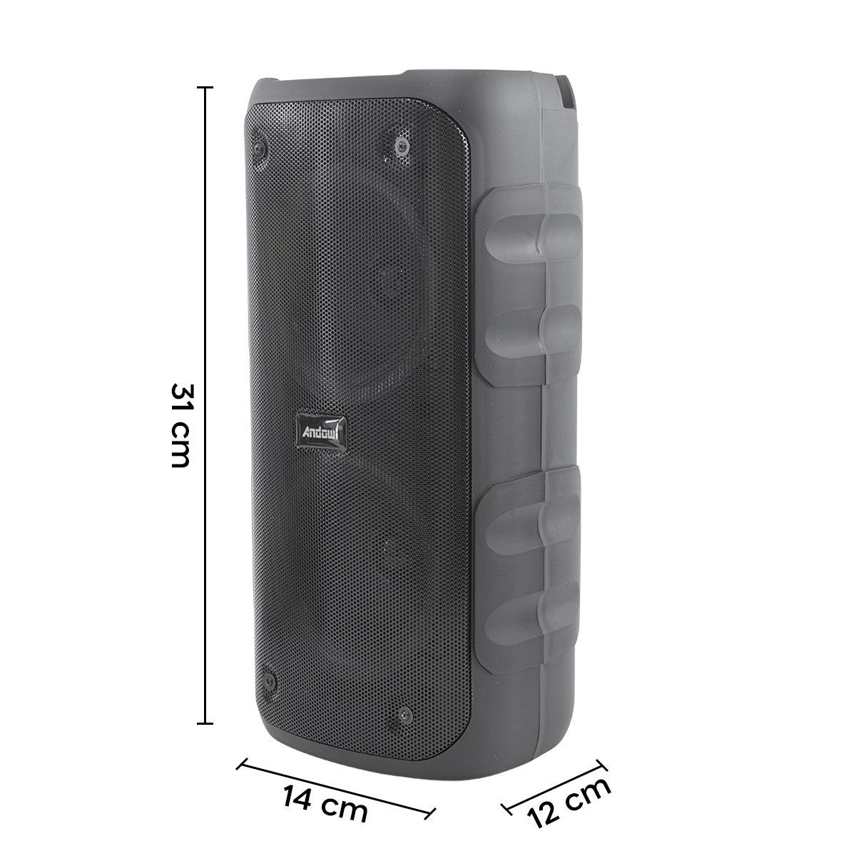 Haut-parleur bluetooth karaoké sans fil avec radio FM portable lumières RVB