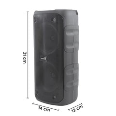 Haut-parleur bluetooth karaoké sans fil avec radio FM portable lumières RVB