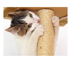 Sisal grattoir avec socle en bois pour les chats - jouet pour animal