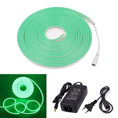 Bande LED néon flexible 5m avec 120 lumières LED pour intérieur et extérieur