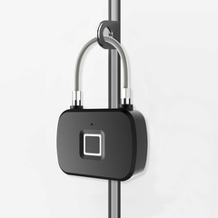 Cadenas déverrouillage par empreinte digitale serrure métallique avec piles