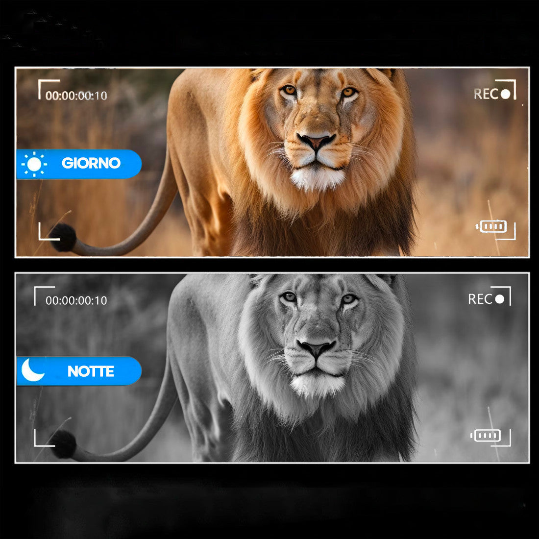Jumelles avec écran 3" vision nocturne zoom numérique 8x prise photos et vidéos