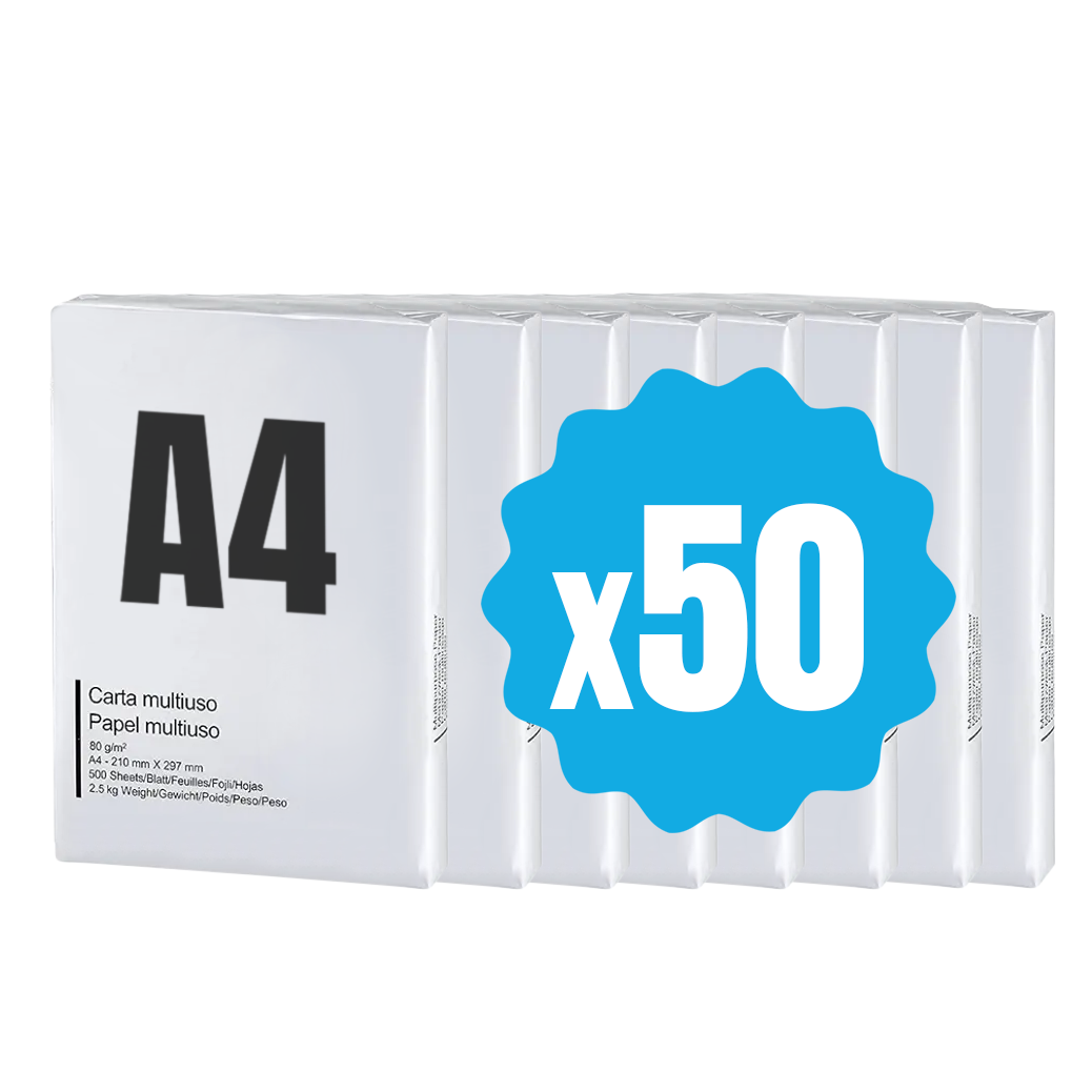 42757 Pack 50 paquets de papier format A4 500 feuilles 80 g Eins Universal Copy