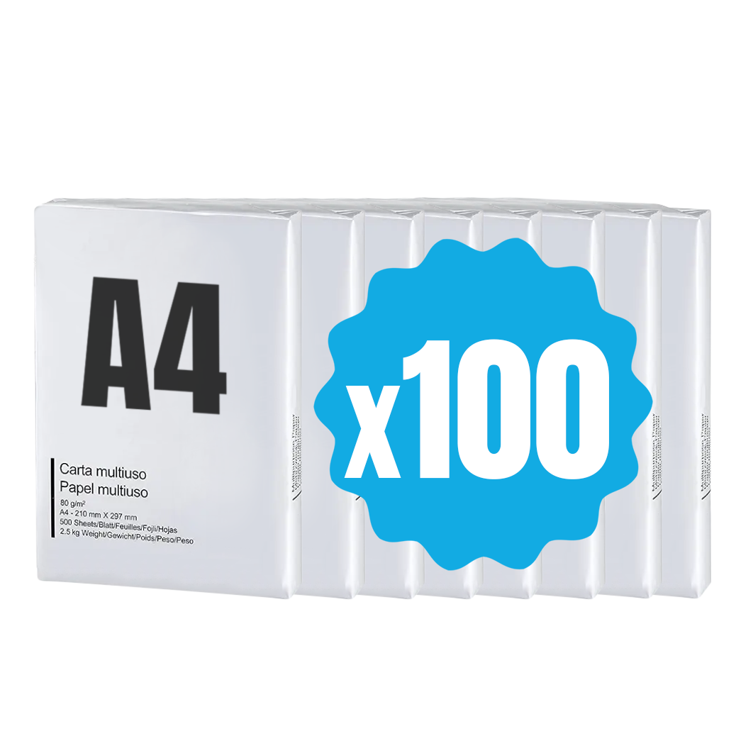42757 Pack 100 paquets de papier format A4 500 feuilles 80 g Eins Universal Copy