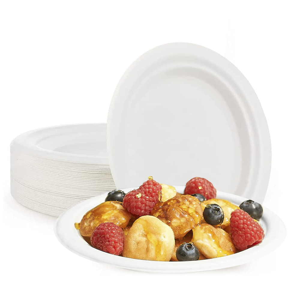 Lot de 20 Assiettes en Papier de 23 cm Jetables, Biodegradables et Écologiques