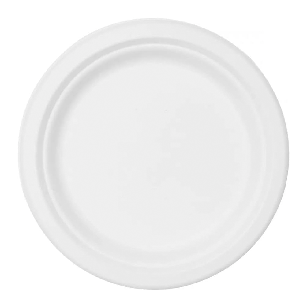 Lot de 60 Assiettes en Papier de 23 cm Jetables, Biodegradables et Écologiques