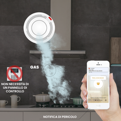 Détecteur fumée sans fil Contrôle via APP Alarme sonore intelligente Wi-Fi
