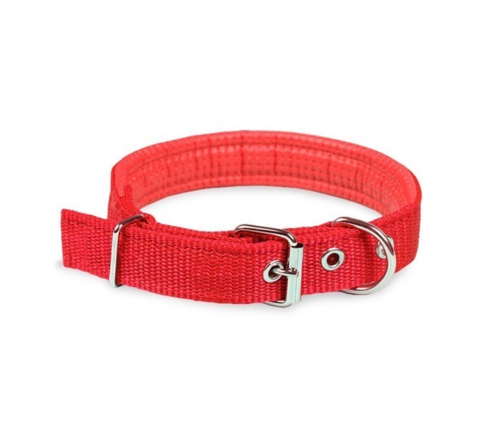 Collier pour chien en Nylon mod. Phoenix rembourré avec boucle -taille S