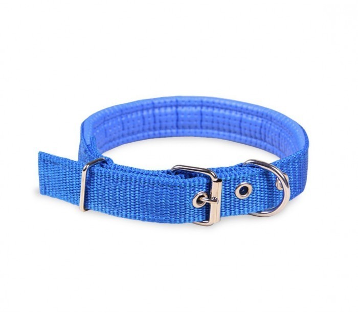 Collier pour chien en Nylon mod. Phoenix rembourré avec boucle -taille S