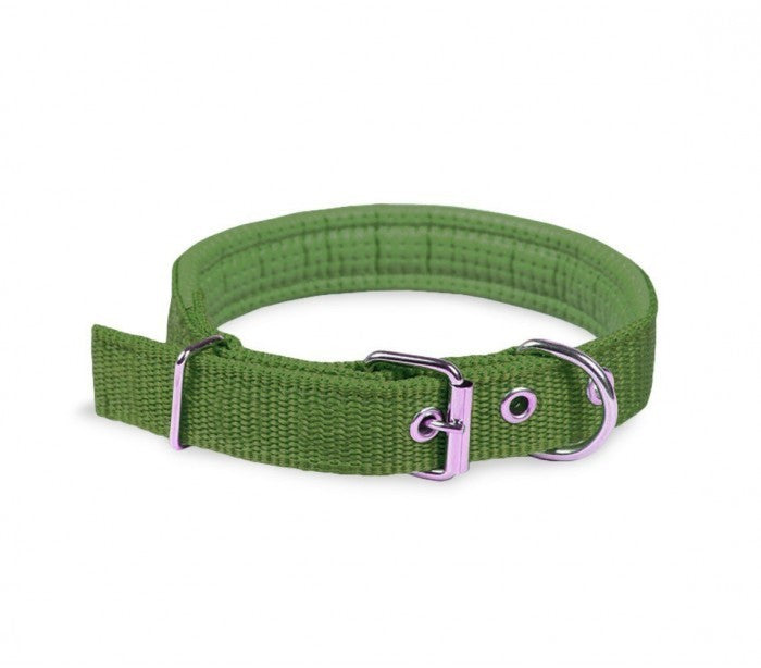 Collier pour chien en Nylon mod. Phoenix rembourré avec boucle -taille L